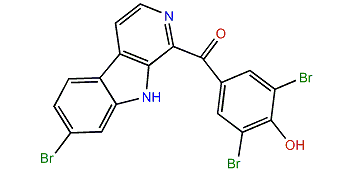 Eudistomin Y7